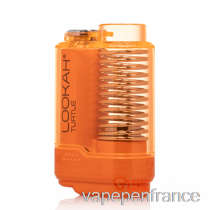 Lookah Tortue 510 Batterie Stylo Vape Orange